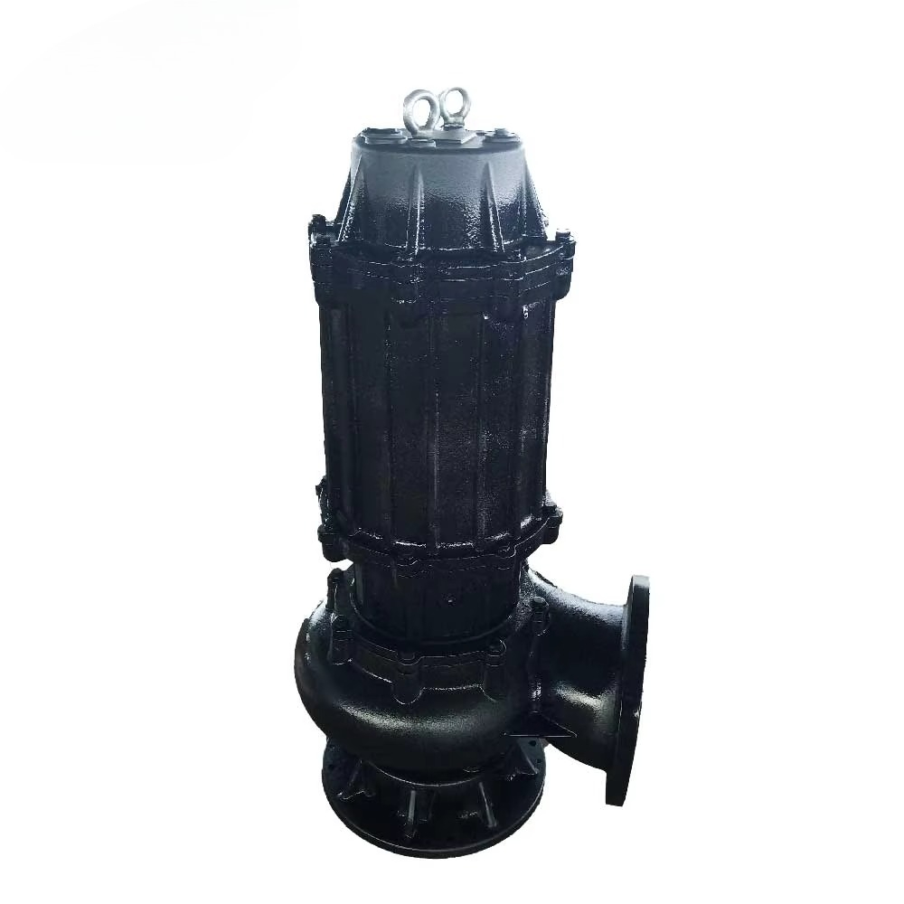 Venta Bomba de lodo de aguas r - Submersible Pump Sewage reseña y precio