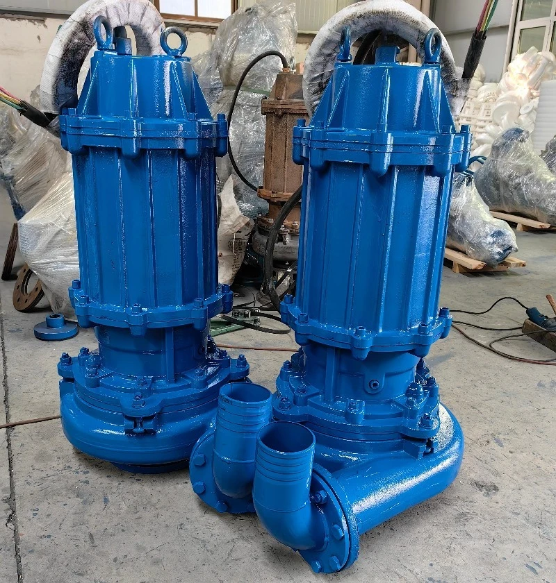 Bomba Sumergible para Lodos co - Submersible Pump Sewage reseña y precio