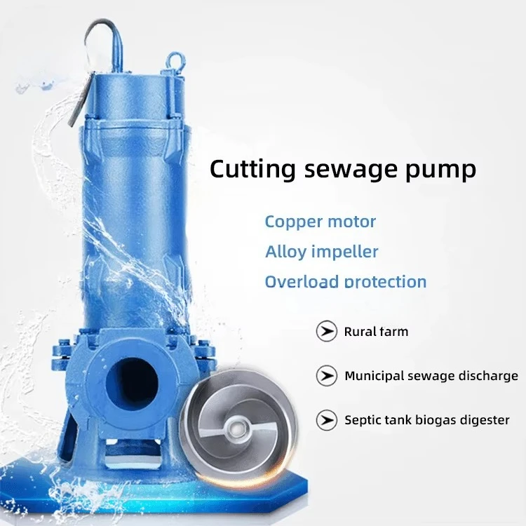 Bomba sumergible eléctrica de  - Submersible Pump Sewage reseña y precio